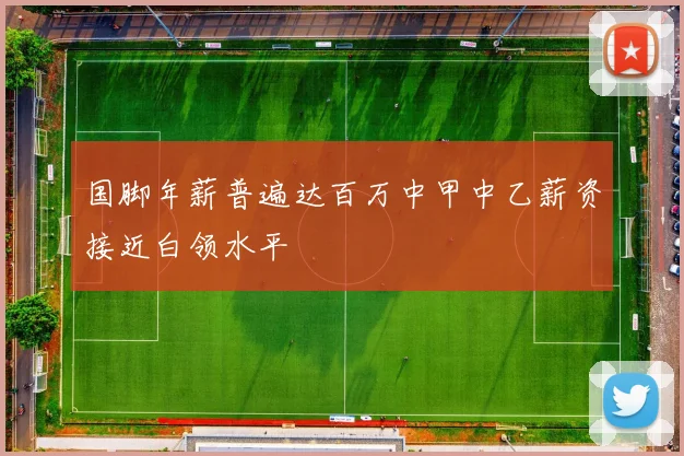 国脚年薪普遍达百万中甲中乙薪资接近白领水平