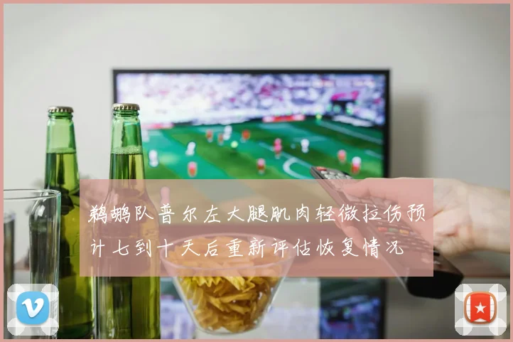 鹈鹕队普尔左大腿肌肉轻微拉伤预计七到十天后重新评估恢复情况