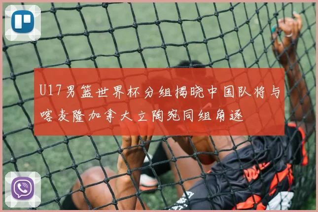 U17男篮世界杯分组揭晓中国队将与喀麦隆加拿大立陶宛同组角逐