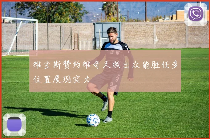 维金斯赞约维奇天赋出众能胜任多位置展现实力