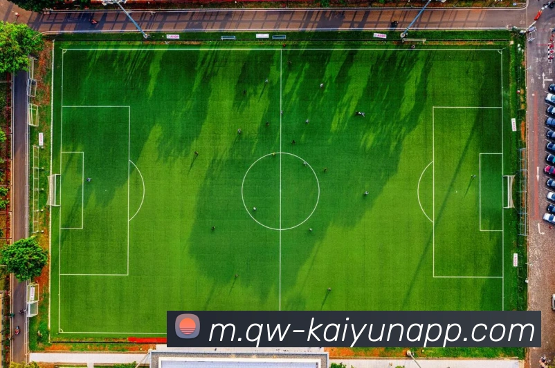 开云体育服务体系